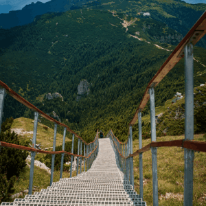 Himalayan Escape